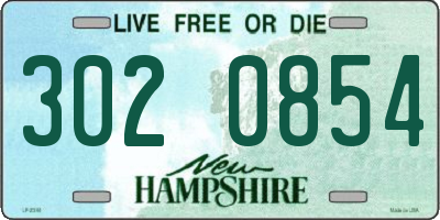 NH license plate 3020854