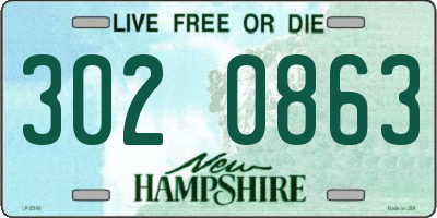 NH license plate 3020863