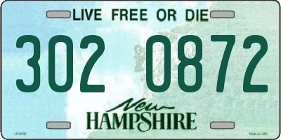 NH license plate 3020872