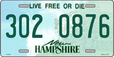 NH license plate 3020876