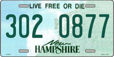 NH license plate 3020877