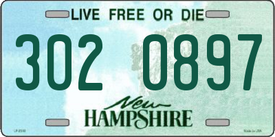 NH license plate 3020897