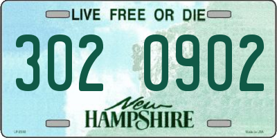 NH license plate 3020902
