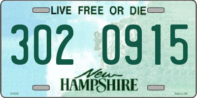 NH license plate 3020915