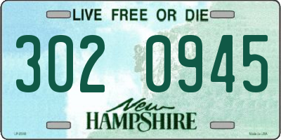NH license plate 3020945