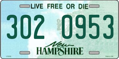 NH license plate 3020953