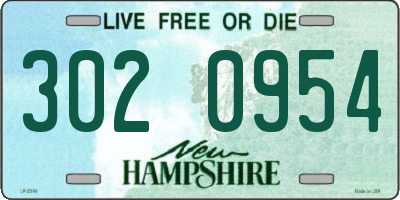 NH license plate 3020954