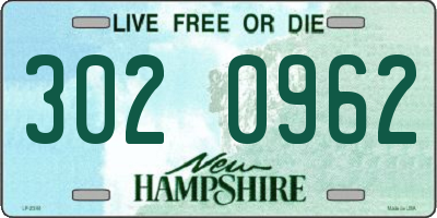 NH license plate 3020962