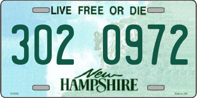 NH license plate 3020972