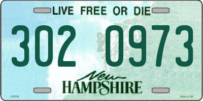 NH license plate 3020973