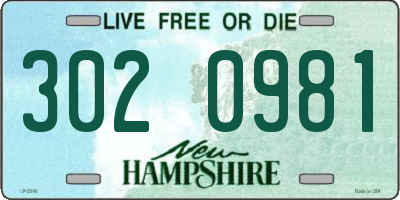 NH license plate 3020981