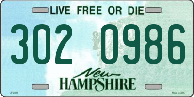 NH license plate 3020986