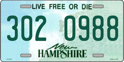 NH license plate 3020988
