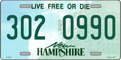 NH license plate 3020990