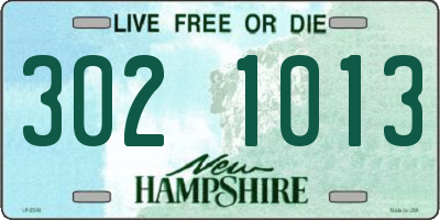 NH license plate 3021013