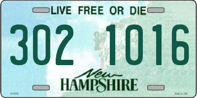 NH license plate 3021016