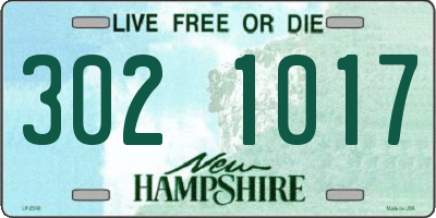 NH license plate 3021017
