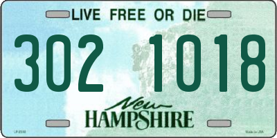 NH license plate 3021018