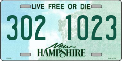 NH license plate 3021023