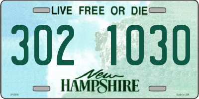 NH license plate 3021030