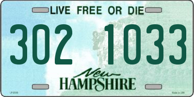 NH license plate 3021033