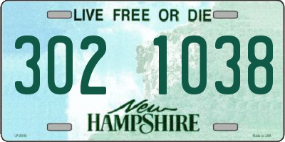 NH license plate 3021038