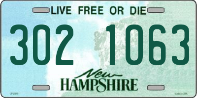 NH license plate 3021063