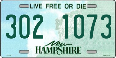 NH license plate 3021073
