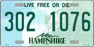 NH license plate 3021076