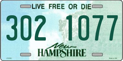NH license plate 3021077