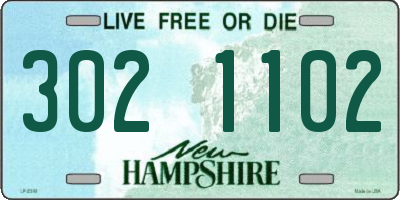 NH license plate 3021102