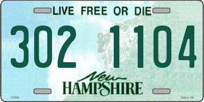 NH license plate 3021104