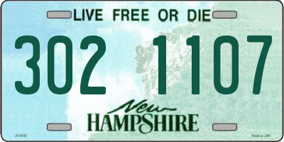 NH license plate 3021107