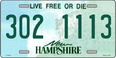 NH license plate 3021113