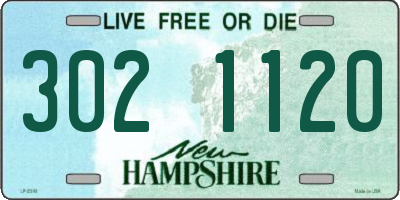 NH license plate 3021120