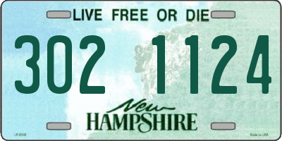 NH license plate 3021124