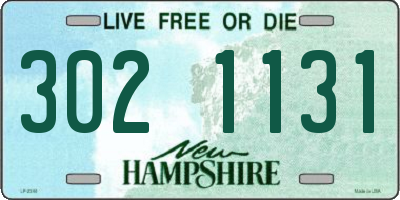 NH license plate 3021131