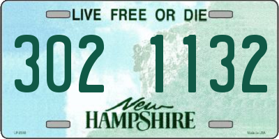 NH license plate 3021132