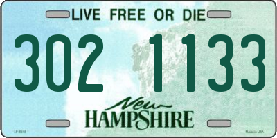 NH license plate 3021133