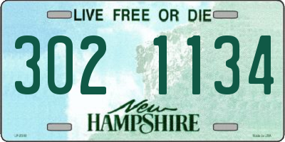 NH license plate 3021134