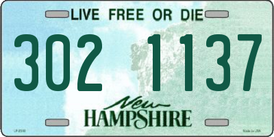 NH license plate 3021137