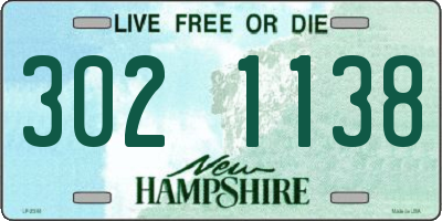 NH license plate 3021138