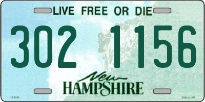 NH license plate 3021156
