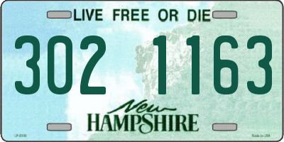 NH license plate 3021163