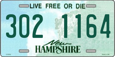 NH license plate 3021164