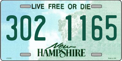 NH license plate 3021165