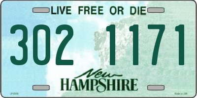 NH license plate 3021171