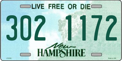 NH license plate 3021172