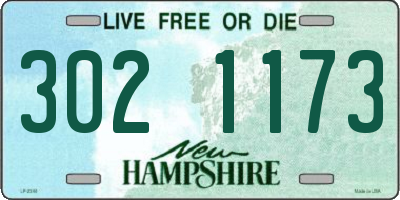 NH license plate 3021173