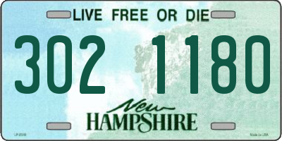 NH license plate 3021180